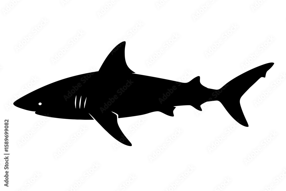 Obraz premium Design a black silhouette of a Dusky Shark white background clean vector shape