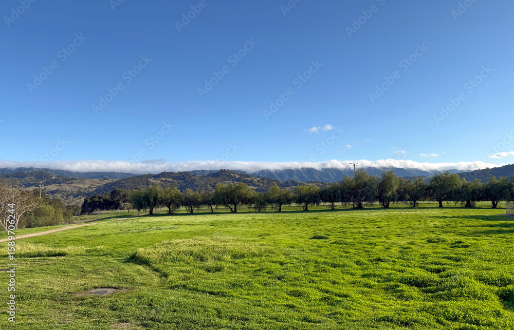 Naklejka premium California Santa Ynez Valley landscape