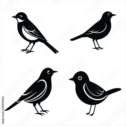 little bird new vector file 