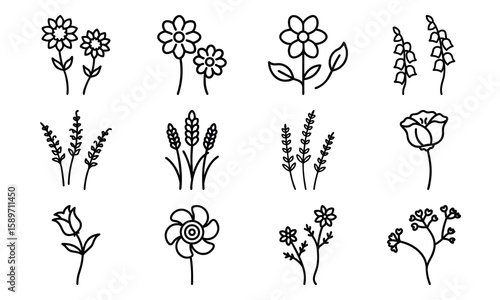 Hand Drawn Floral And Botanical Silhouette Vector Icons – Minimalist Flower And Plant Line Art Collection For Spring, Nature, An (6)