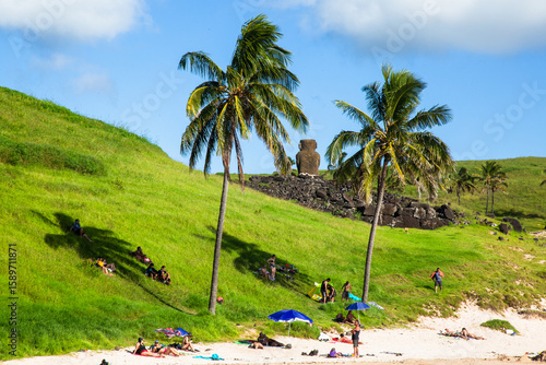 palmeras en playa caribeña