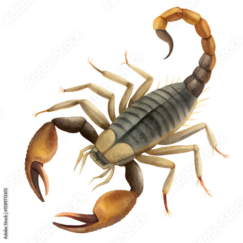 Artistic watercolor illustration of a scorpion with detailed features and vivid colors on black background