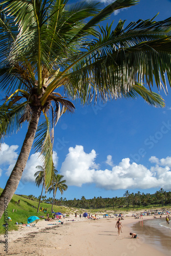 palmeras en playa caribeña