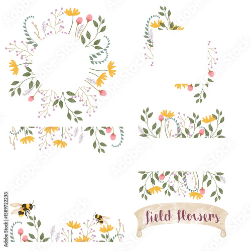 Field flowers wreaths and frames with transparent background. Summer inspiration clipart, watercolour design