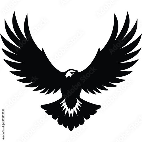 Majestic eagle wings spread wide bird flight