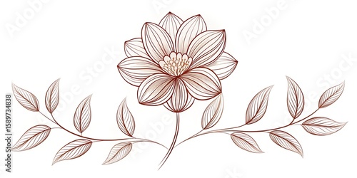 An elegant floral illustration with detailed petals and leaves, presented in a vintage line art style