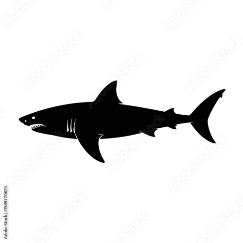 Black silhouette of a great white shark swimming isolated on white background