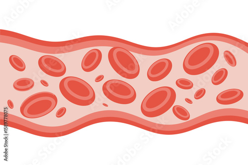 Stylized Red Blood Cells in Continuous Line Art