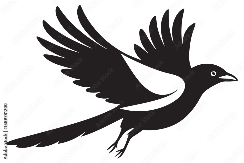 Fototapeta premium Magpie flying silhouette vector on white background