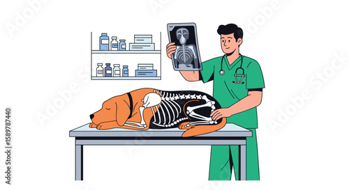 Veterinarian examining x-ray of dog patient in veterinary clinic diagnostic examination thorough medical checkup