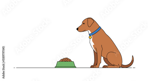 A loyal companion patiently awaiting its delicious meal in a green bowl