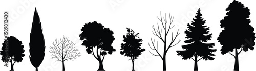 Tree silhouettes cad drawing flat vector illustration, cartoon-style lineup of eight forest species with distinctive foliage and trunk structuresTree silhouettes cad drawing flat vector illustration