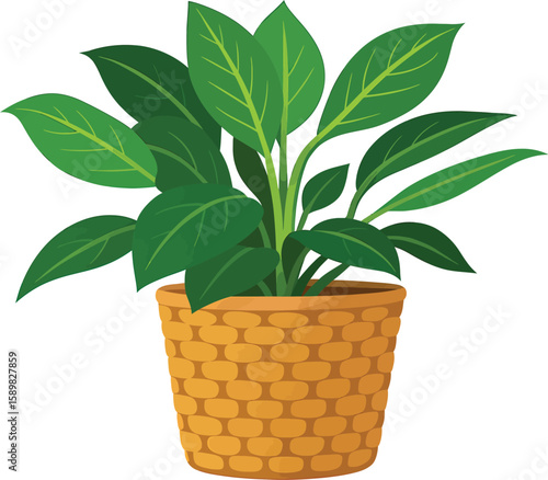 BOLD WOVEN BASKET PLANT VECTOR🌿 Vibrant green foliage in detailed basket pot—ideal for modern decor & botanical projects. Download now to bring fresh nature vibes into your designs!✨🌟🎉
