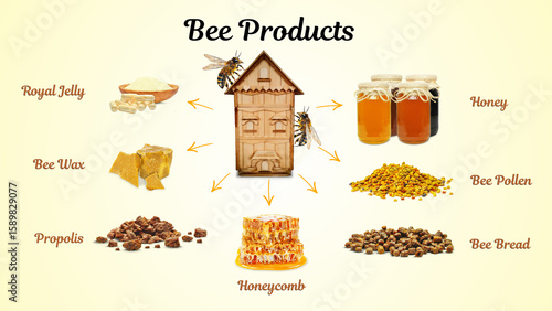bee products and bee hive isolated on white