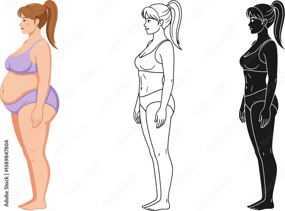 Vector illustration showing a female body before, during and after weight loss. Vector illustration showing a female body before, during and after weight loss.