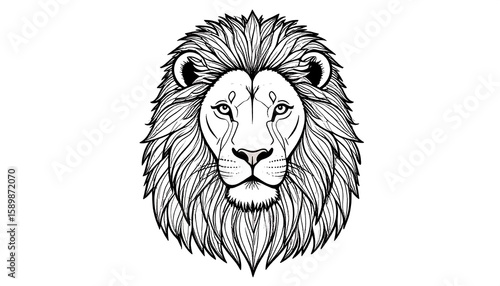 Detailed black and white lion's head