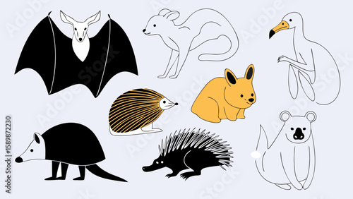 Illustration of australian animals including bat kangaroo wombat echidna platypus bandicoot and koala art design