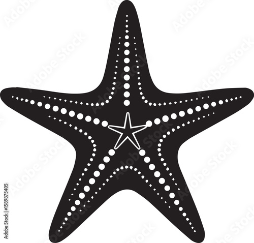 star fish icon and vector