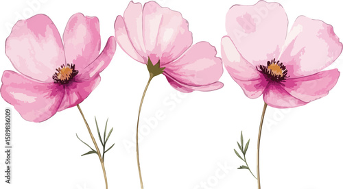 Image Processing Complete