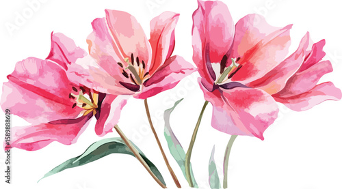 Image Processing Complete