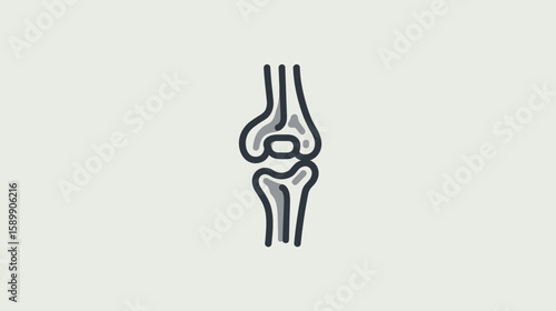 Understanding The Human Knee Joint Anatomy And Function Simplified