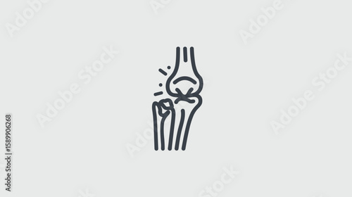 Anatomy of the Knee Joint and its Complex Structure, A Visual Representation