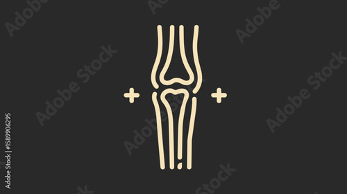 Understanding the Complexities of Knee Joint Anatomy and Function