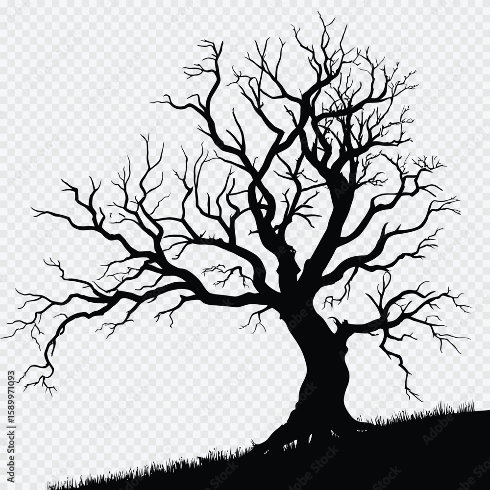 Fototapeta premium Tree silhouette vector illustration with branches in a natural seasonal design