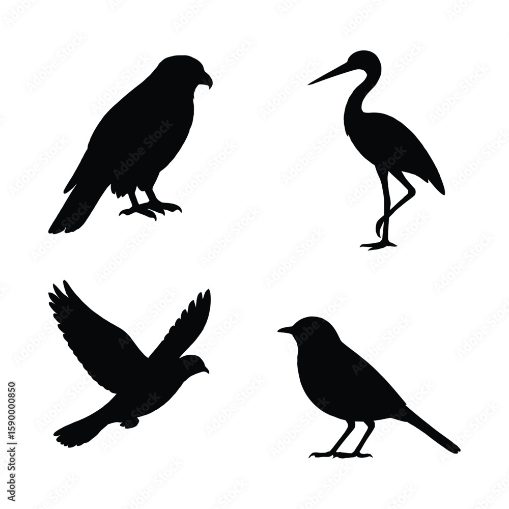 Fototapeta premium Diverse Bird Silhouette Set Four Different Bird Species Depicted Against White Backdrop.