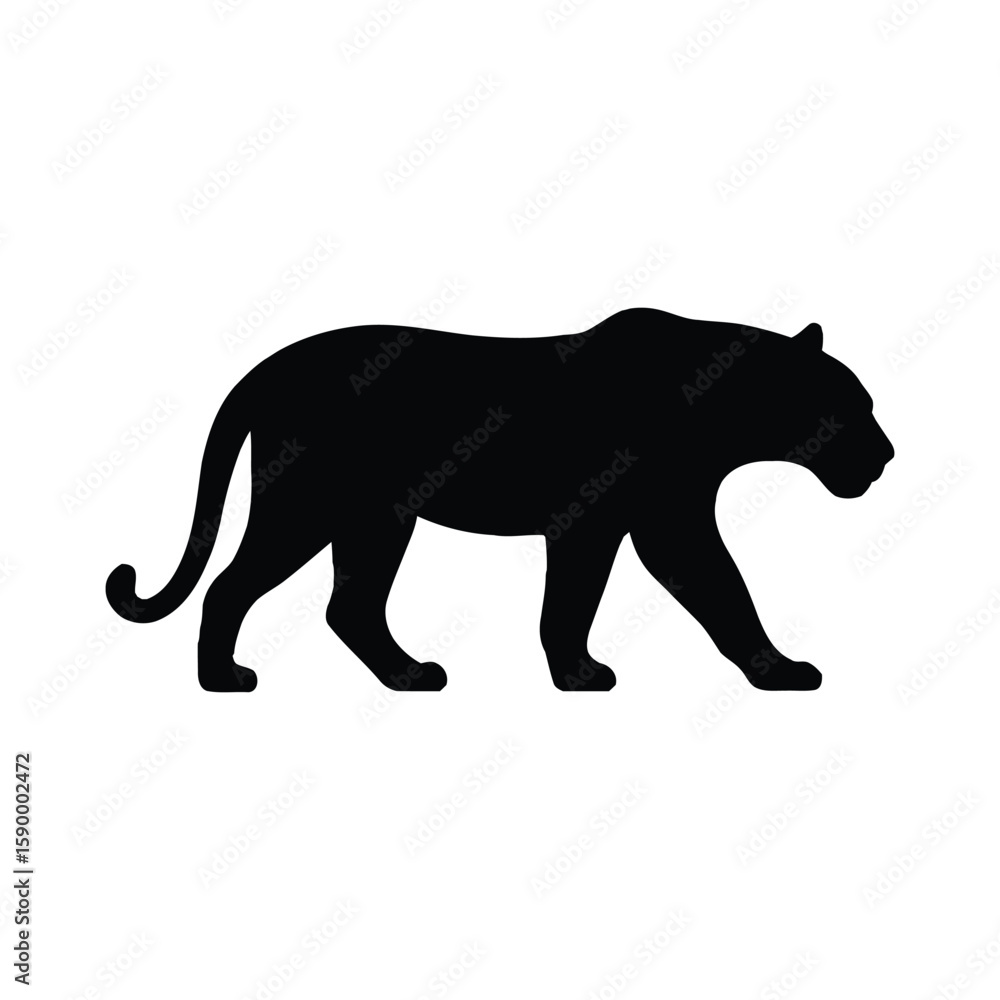 Obraz premium A Black Silhouette of a Walking Mountain Lion Animal Isolated on White.