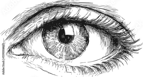 Detailed black and white sketch of a human eye with intricate lines. Vector illustration