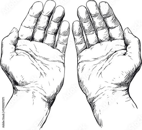 Detailed black and white sketch of two open palms facing upward. Vector illustration