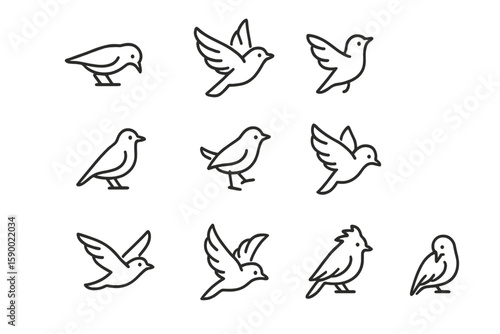 Nine minimalist bird silhouettes on dark background