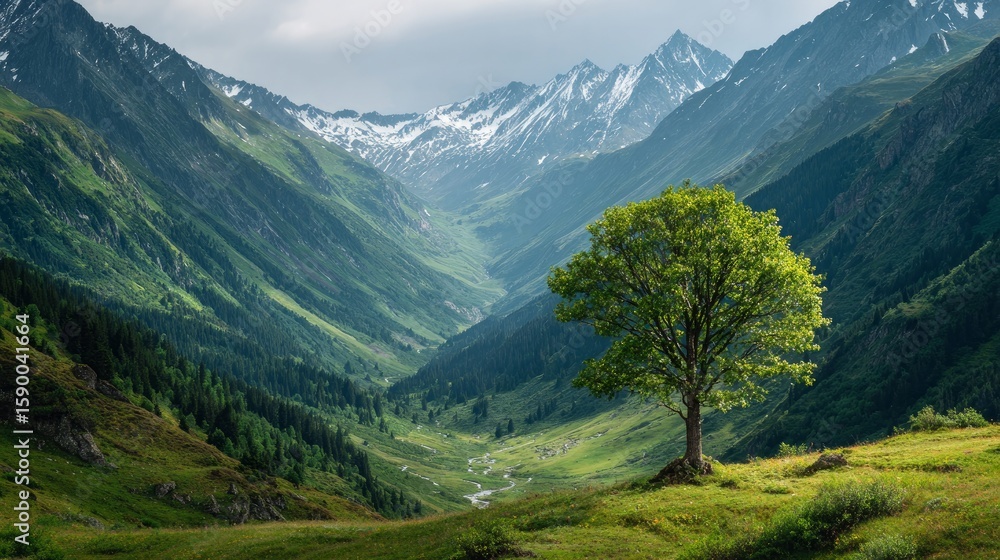 Fototapeta premium Lush green-leafed tree grows near a mountain landscape, with copy space