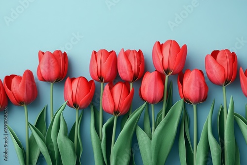 Vibrant Red Tulips Arranged Beautifully Against a Blue Background.