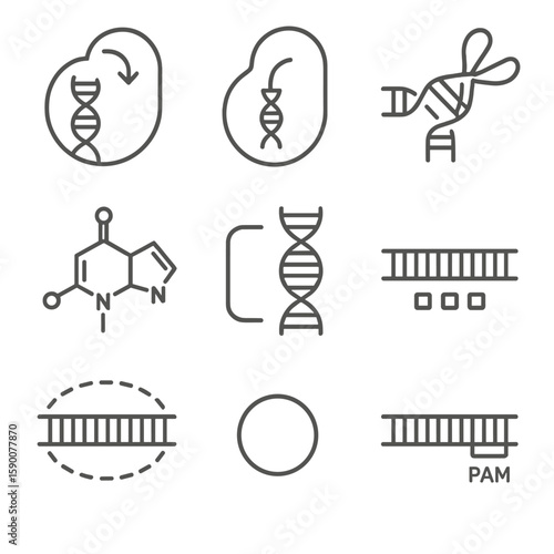 Base Editing Tools Icons. Line style icons of Base Editing Tools: cytidine deaminase, adenosine deaminase, Cas9 nickase, uracil