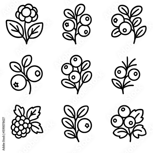 Alpine Berry Icons. Line style icons of Alpine Berry Selection: cloudberry, lingonberry, alpine bearberry, mountain blueberry,
