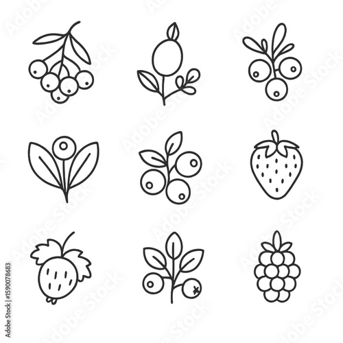 Mountain Slope Berries Icons. Line style icons of Mountain Slope Berries: rowan berry, alpine rose hip, crowberry, bilberry,