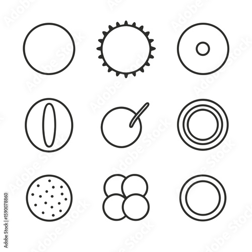 Pollen Morphology Icons. Outline style icons of Pollen Grain Morphology: pollen sphere, exine ornament, aperture pore, colpus