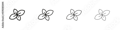 Basil icon collection. Vector illustration EPS10.