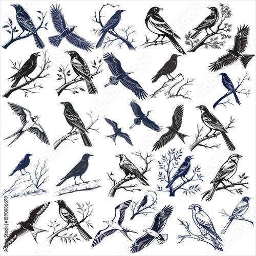 Collection of Vintage-Style Bird Illustrations Silhouette : Crows, Magpies, and Other Avian Perched and in Flight, Dark Blue Monochrome Palette.
