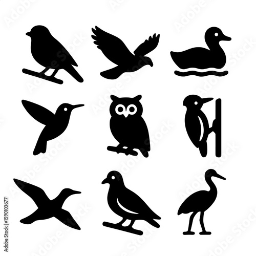 Bird Icon Collection. Solid style icons of bird types commonly watched: songbird silhouette, raptor in flight, waterfowl icon,