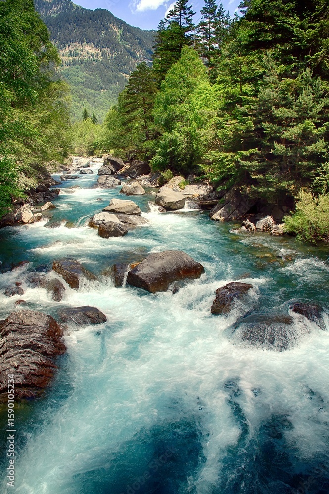 Naklejka premium Beautiful waterfalls and rapids of the Arazas River in the Ordesa National Park, Spain.