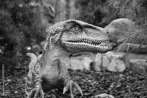 iguana in the forest