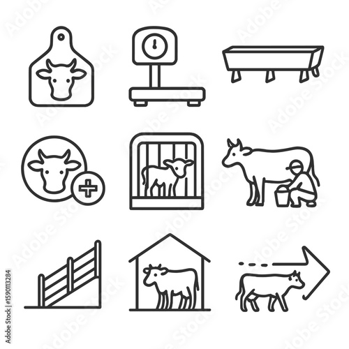Livestock Management Icons. Outline style icons of Livestock Management: cow tag, weighing scale, feeding trough, health check
