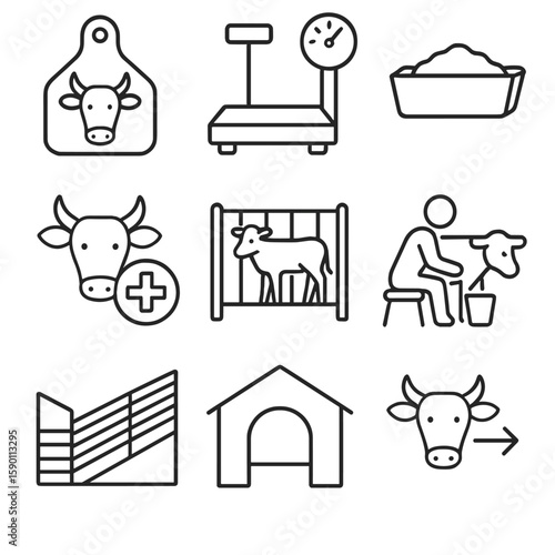 Livestock Management Icons. Outline style icons of Livestock Management: cow tag, weighing scale, feeding trough, health check
