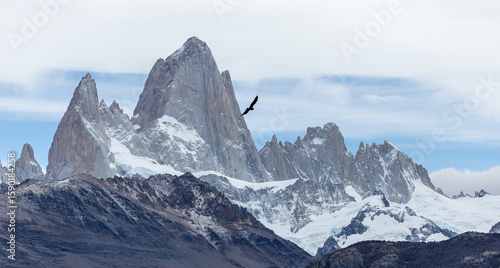 Photography Snowy mountain peaks and birds (condors)