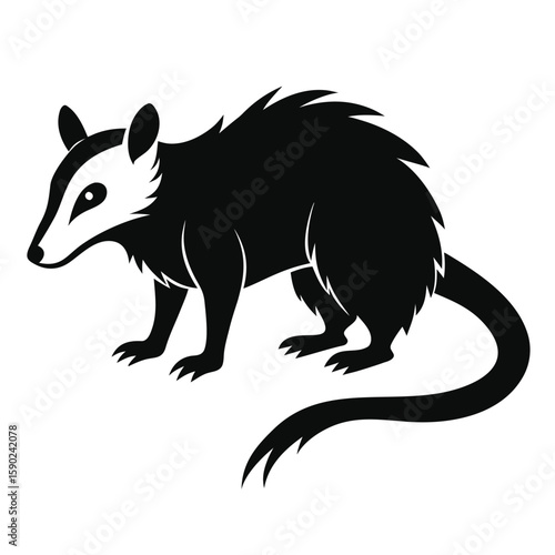  Pure black design of an opossum in side view, with curved body, pointed snout, long prehensile tail, and rounded ears, isolated on white background. 