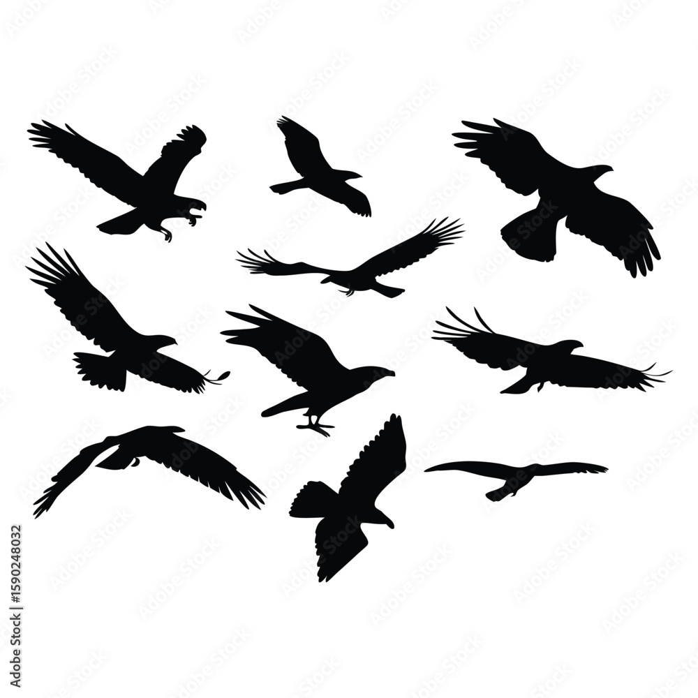 Obraz premium Collection of Eagle Silhouettes in Various Flying Poses on White Background