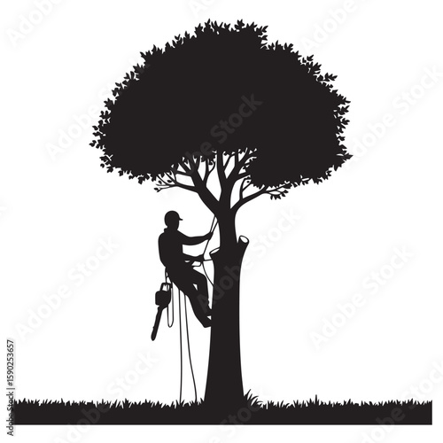 Silhouette of a skilled arborist climbing a large tree using ropes and safety gear equipped with a chainsaw performing tree maintenance or removal on a clear white background with grass at the base